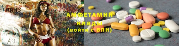 дмт Гусев