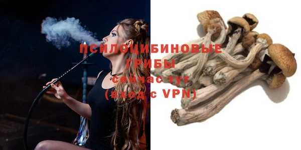 трава Туринск