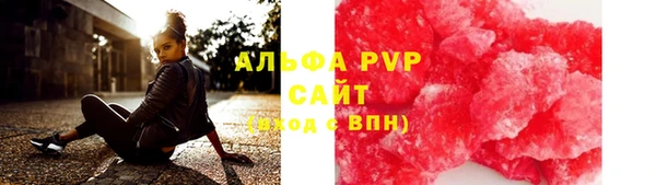 дмт Гусев