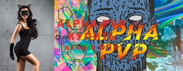 apvp Гусиноозёрск