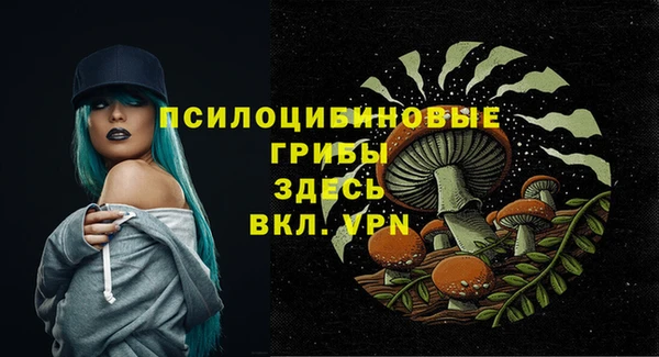 2c-b Тутаев