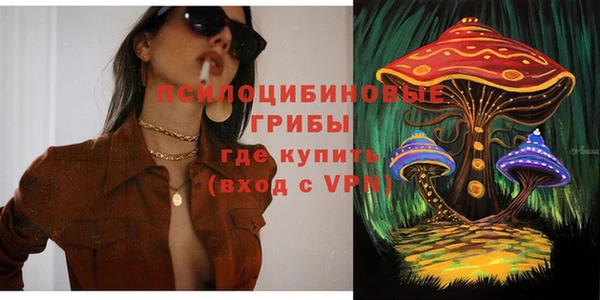 apvp Гусиноозёрск