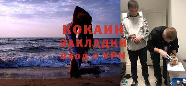 дмт Гусев