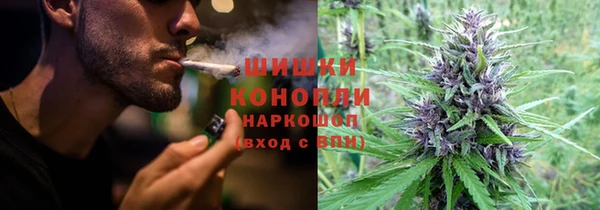 бутират Гусь-Хрустальный