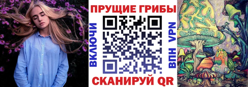 кракен сайт  Балашиха  Псилоцибиновые грибы MAGIC MUSHROOMS 