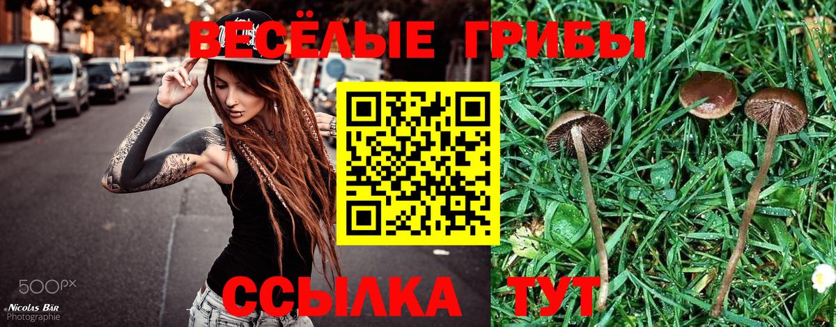 Псилоцибиновые грибы Psilocybe  Галлюциногенные грибы GOLDEN TEACHER  Балашиха 
