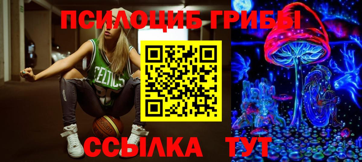 продажа наркотиков  Вход с VPN  Псилоцибиновые грибы MAGIC MUSHROOMS  Балашиха  Псилоцибиновые грибы Psilocybine cubensis 